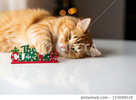 A cute ginger cat lying down with a festive Christmas decoration. Adorable fluffy pet relaxing at home during the holidays with copy space. A cute ginger cat lying down with a festive Christmas decoration. Adorable fluffy pet relaxing at home during the holidays with copy space. 133699526