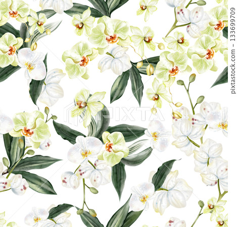 Beautiful seamless pattern with yellow and white flowers and green leaves of orchids. Beautiful seamless pattern with yellow and white flowers and green leaves of orchids. 133699709