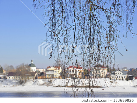 Bare branches of birch tree, blurred cityscape 133699926
