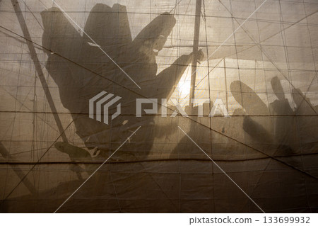 Greenhouse with banana trees, Spain Greenhouse with banana trees, Spain 133699932