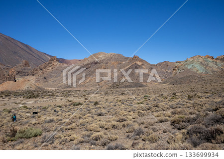 Nature of Teide National Park, Tenerife, Spain Nature of Teide National Park, Tenerife, Spain 133699934