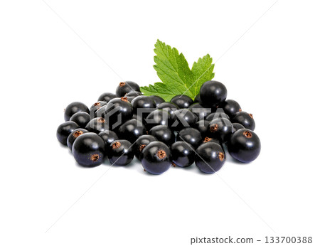 black currant with leaves isolated black currant with leaves isolated 133700388