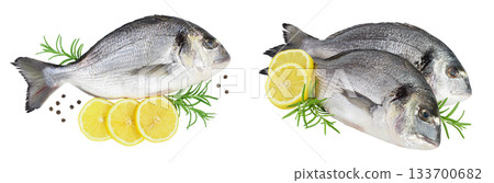 Fish dorado isolated on white background with full depth of field. Top view. Flat lay 133700682