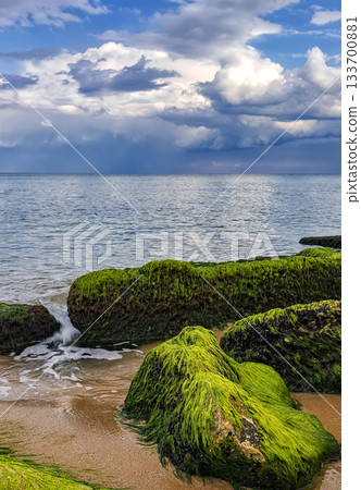 rocks with moss on the beach. 133700881