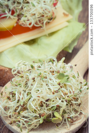 Alfalfa and radish sprouts and wholegrain sandwich with cheese, vegetables and sprouts Alfalfa and radish sprouts and wholegrain sandwich with cheese, vegetables and sprouts 133700896