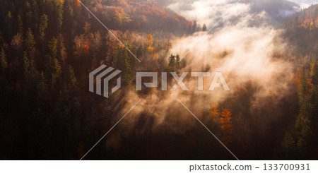 Aerial view of a misty autumn forest in full fall colors. Golden and red treetops covered by morning fog, captured in high resolution, perfect for large prints or nature backgrounds. 133700931