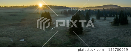 Golden sunrise over misty forest and lake in Northern Bohemia, Czech Republic. Morning fog, soft light, and tranquil atmosphere captured in high resolution, perfect for fine art prints. 133700939