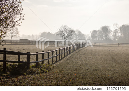 Diagonal wooden fence across frosty pasture, misty background with bare trees evokes calm rural depth and seasonal transition. 133701593