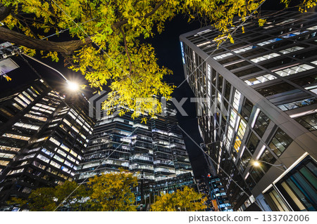 Night view of downtown skyscrapers with illuminated windows and autumn trees under city lights. Night view of downtown skyscrapers with illuminated windows and autumn trees under city lights. 133702006