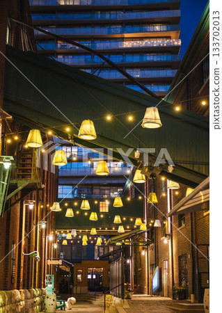 Vertical view of a decorated alley in Torontos Distillery District at night with hanging lamps and warm string lights between historic brick buildings. Vertical view of a decorated alley in Torontos Distillery District at night with hanging lamps and warm string lights between historic brick buildings. 133702013