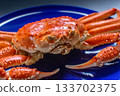 Giant snow crab presentation 133702375