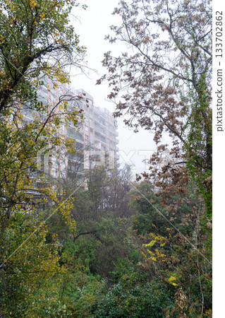 A view of a residential building through the branches of trees on an overcast day, creating a framed perspective of urban nature. A view of a residential building through the branches of trees on an overcast day, creating a framed perspective of urban nature. 133702862