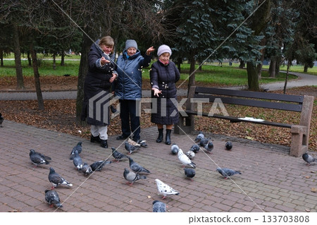 People feed birds in the park. Birds eat from a person's hands. A hand with food on which birds have sat. Many pigeons. Pigeons with open wings. Family rest. Family leisure. People feed birds in the park. Birds eat from a person's hands. A hand with food on which birds have sat. Many pigeons. Pigeons with open wings. Family rest. Family leisure. 133703808
