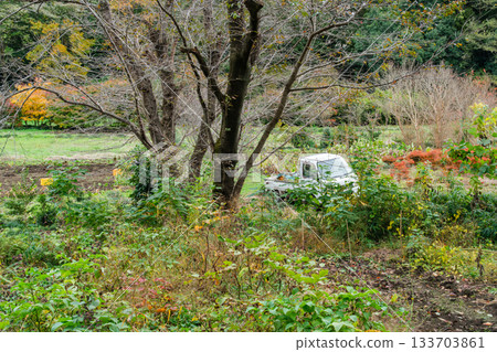 田野和秋葉 133703861