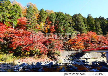 The spectacular view of Taigetsu Bridge and autumn leaves at Korankei 133703973