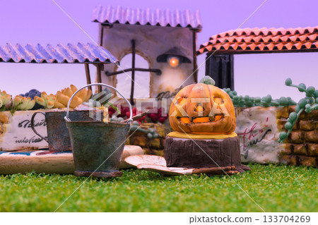 多肉植物藝術 多肉植物藝術 133704269