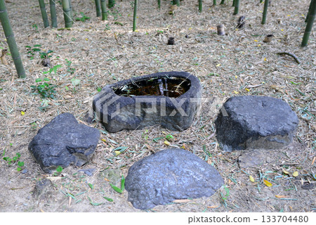 京都北佐賀大澤池竹林小徑6號 京都北佐賀大澤池竹林小徑6號 133704480