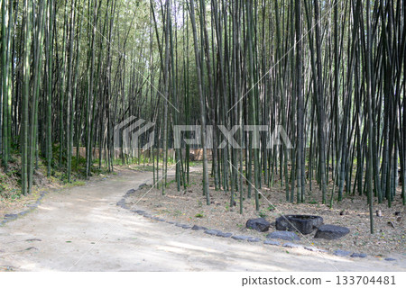 Kyoto Kitasaga Osawa Pond Bamboo Forest Path-2 Kyoto Kitasaga Osawa Pond Bamboo Forest Path-2 133704481