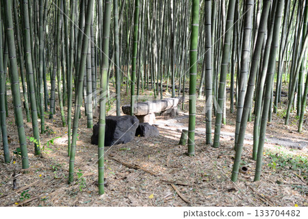 Kyoto Kitasaga Osawa Pond Bamboo Forest Path-1 Kyoto Kitasaga Osawa Pond Bamboo Forest Path-1 133704482