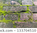 wall, brick, green 133704510
