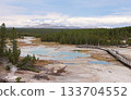 Panoramic view of Norris Geyser Basin in Yellowstone National Park, USA 133704552