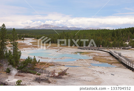 Panoramic view of Norris Geyser Basin in Yellowstone National Park, USA Panoramic view of Norris Geyser Basin in Yellowstone National Park, USA 133704552