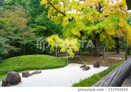 Autumn Japanese Garden 133704856