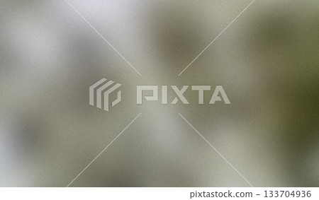 Grainy abstract blurred background with soft neutral tones and visible noise texture. Minimal and atmospheric backdrop suitable for design, overlays, and creative compositions. Grainy abstract blurred background with soft neutral tones and visible noise texture. Minimal and atmospheric backdrop suitable for design, overlays, and creative compositions. 133704936