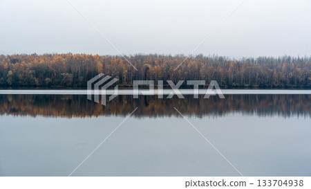 Calm autumn lake landscape with forest reflection 133704938