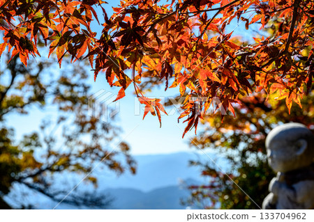 Autumn leaves (at the summit of Mount Takao) Autumn leaves (at the summit of Mount Takao) 133704962