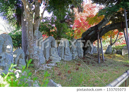 京都北佐賀大澤池的石佛雕像2 京都北佐賀大澤池的石佛雕像2 133705073