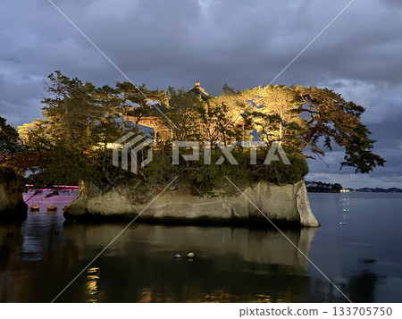 Illumination of the Godaido Hall of Zuiganji Temple 133705750