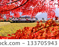 南亞莊鐵道列車穿梭於秋葉之間。 133705943