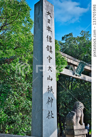 Oyamisami神社 133705998