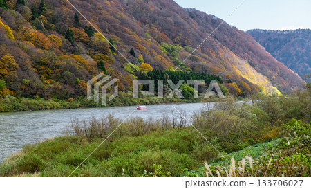 Late autumn in Mogami Gorge, Yamagata Prefecture, boat ride approaching Shiraito Falls 133706027