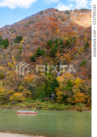 Late autumn in Mogami Gorge, Yamagata Prefecture, a sightseeing boat passing in front of Shiraito Falls 133706192