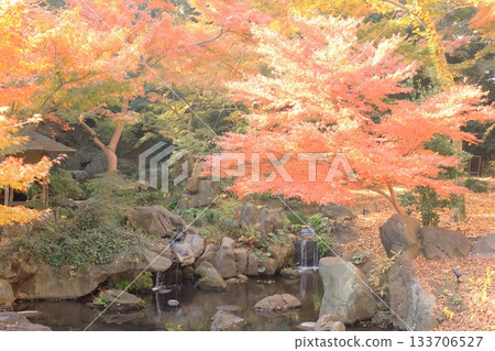 Autumn at Rikugien Gardens - Takimi Chaya Autumn at Rikugien Gardens - Takimi Chaya 133706527