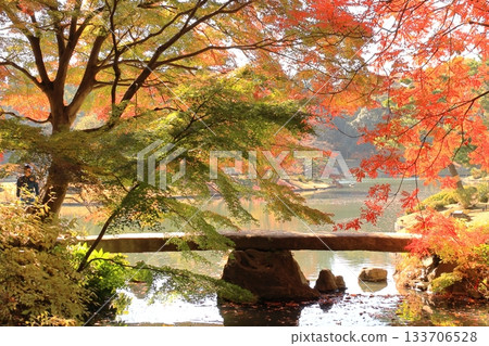 Rikugien Garden in Autumn - Togetsukyo Bridge 133706528