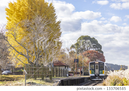 Platform and tracks at Hirayama Station on the Kururi Line 133706585