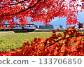 南亞莊鐵道列車穿過秋葉，鄉村景色 133706850