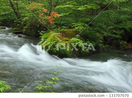 Oirase山流在春天 133707070