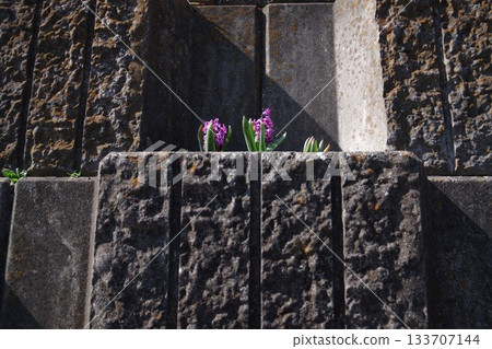 Stepped Block Garden 5 Stepped Block Garden 5 133707144