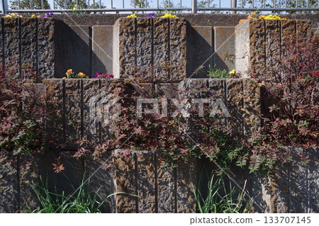 階梯式花園 4 133707145