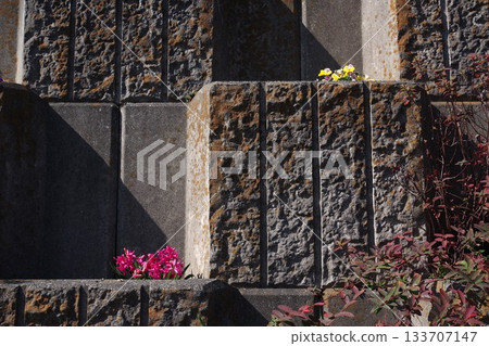 階梯式積木花園 2 133707147