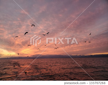 Sunset in the Pacific 133707268