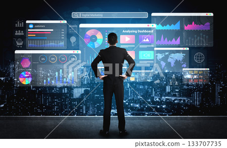 Digital marketing analytics dashboard interface Parse 133707735