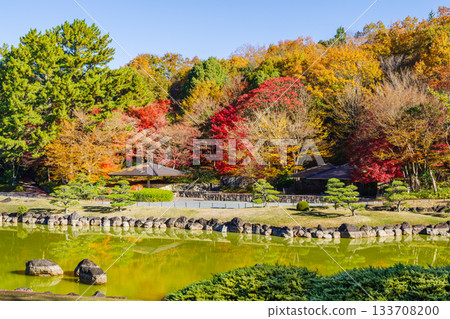 A beautiful garden with autumn leaves (Aichi Prefectural Greening Center, Toyota City, Aichi Prefecture) 133708200