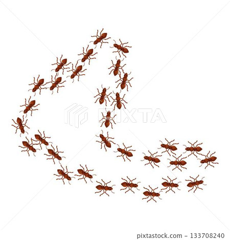 Ants are crawling forming a question mark shape 133708240