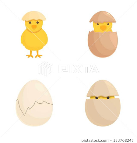 Cartoon chicken lifecycle stages illustration 133708245