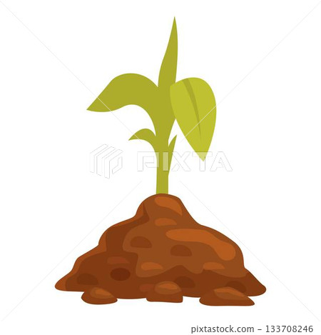 Young plant growing from the ground with green leaves Young plant growing from the ground with green leaves 133708246